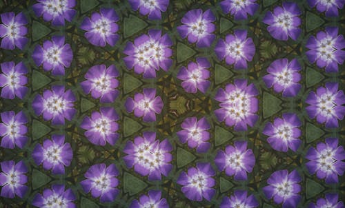 Purple and Green Floral Patterns