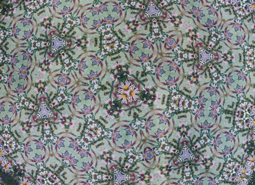 A mesmerizing kaleidoscope pattern featuring intricate floral designs in vibrant colors.