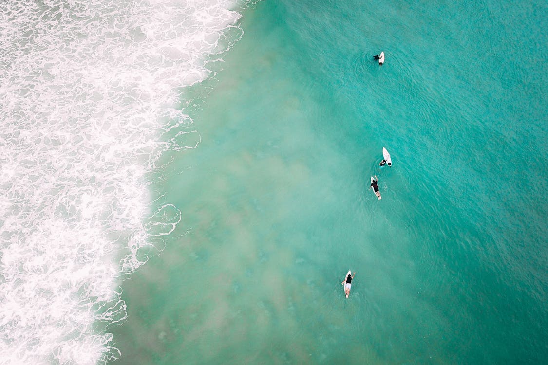 Unrecognizable people on surfboard in wavy sea with foamy waves · Free ...
