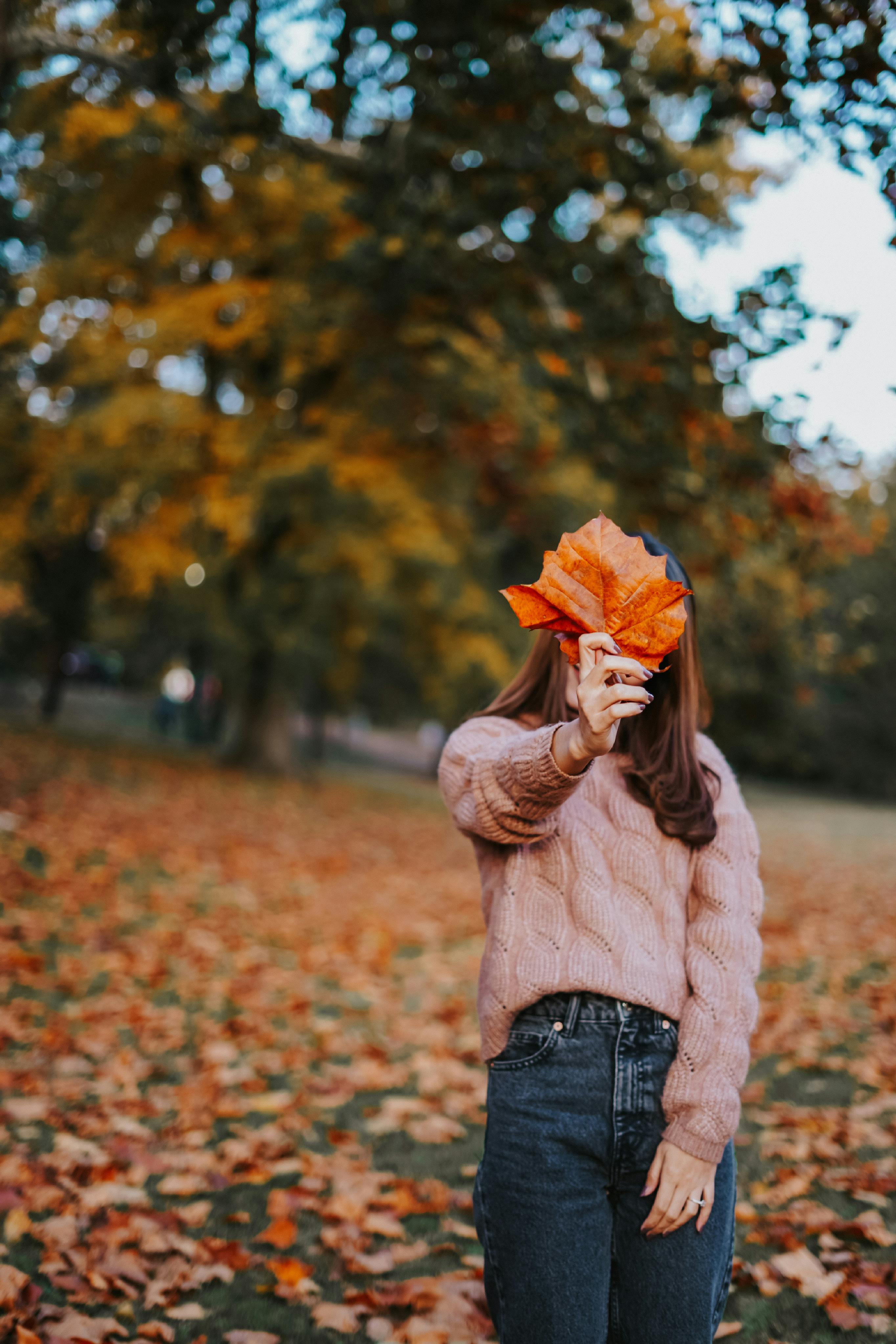 Woman in cozy sweater holding a large maple leaf in the park during fall. Vibrant autumn colors create a warm atmosphere.