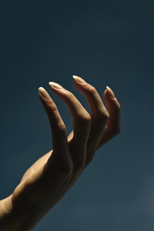 Free Close Up Shot of a Human Hand Stock Photo