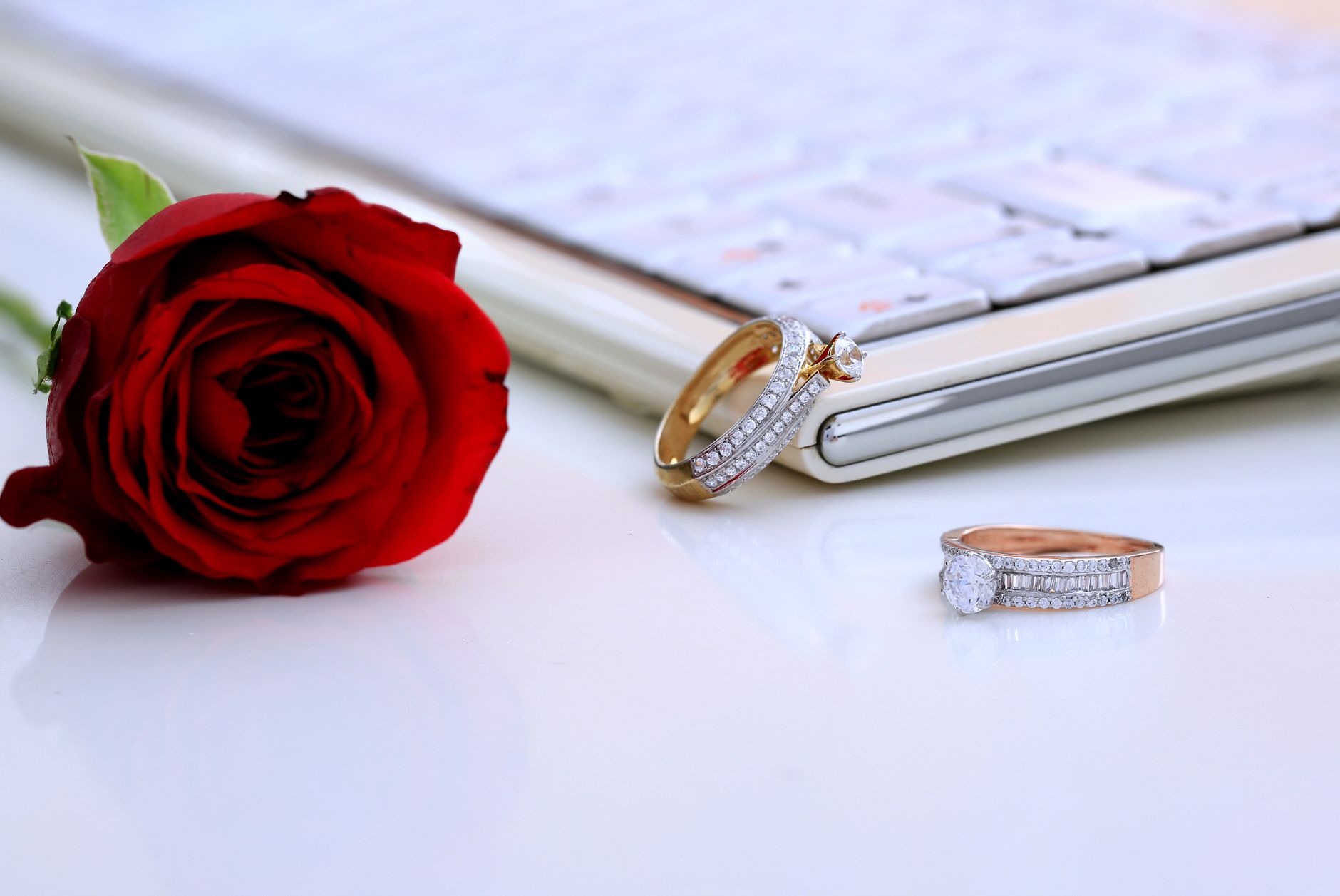 Elegant diamond rings and a red rose displayed on a clean white surface, symbolizing luxury and romance.