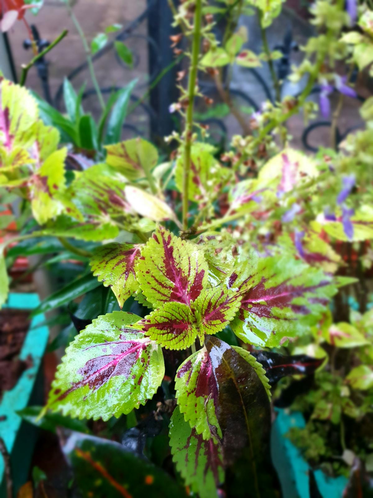 A person holding a bowl of vegetable soup and bread