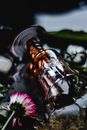 A Clear Glass Lying on a Wet Surface Near a Flower