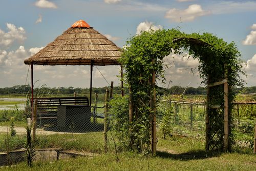 Free A rustic wooden archway covered in vines next to a thatch-roofed gazebo set in a lush rural landscape. Stock Photo