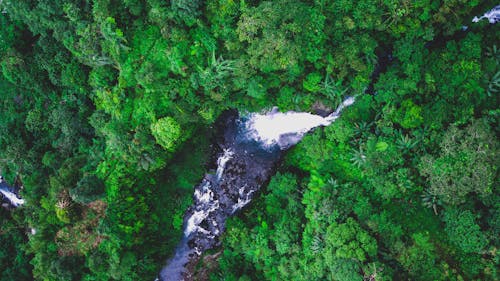 An Aerial Photography of a Waterfall Between Green Trees in the Forest