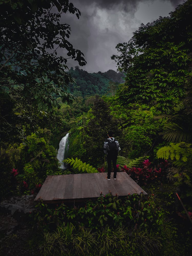 A Person With Backpack Standing On A Wooden View Deck