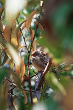 A sparrow perched on a branch in a tree with blurred leaves in the background, conveying a peaceful wildlife scene.