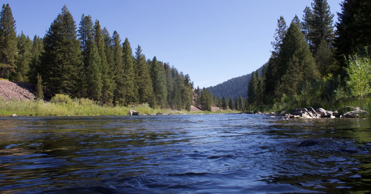 Idaho mountain hot springs, Payette River soak, Boise outdoor adventure, natural thermal pools pine forest