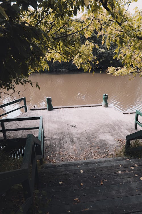 Immagine gratuita di acqua, lago, lakeside