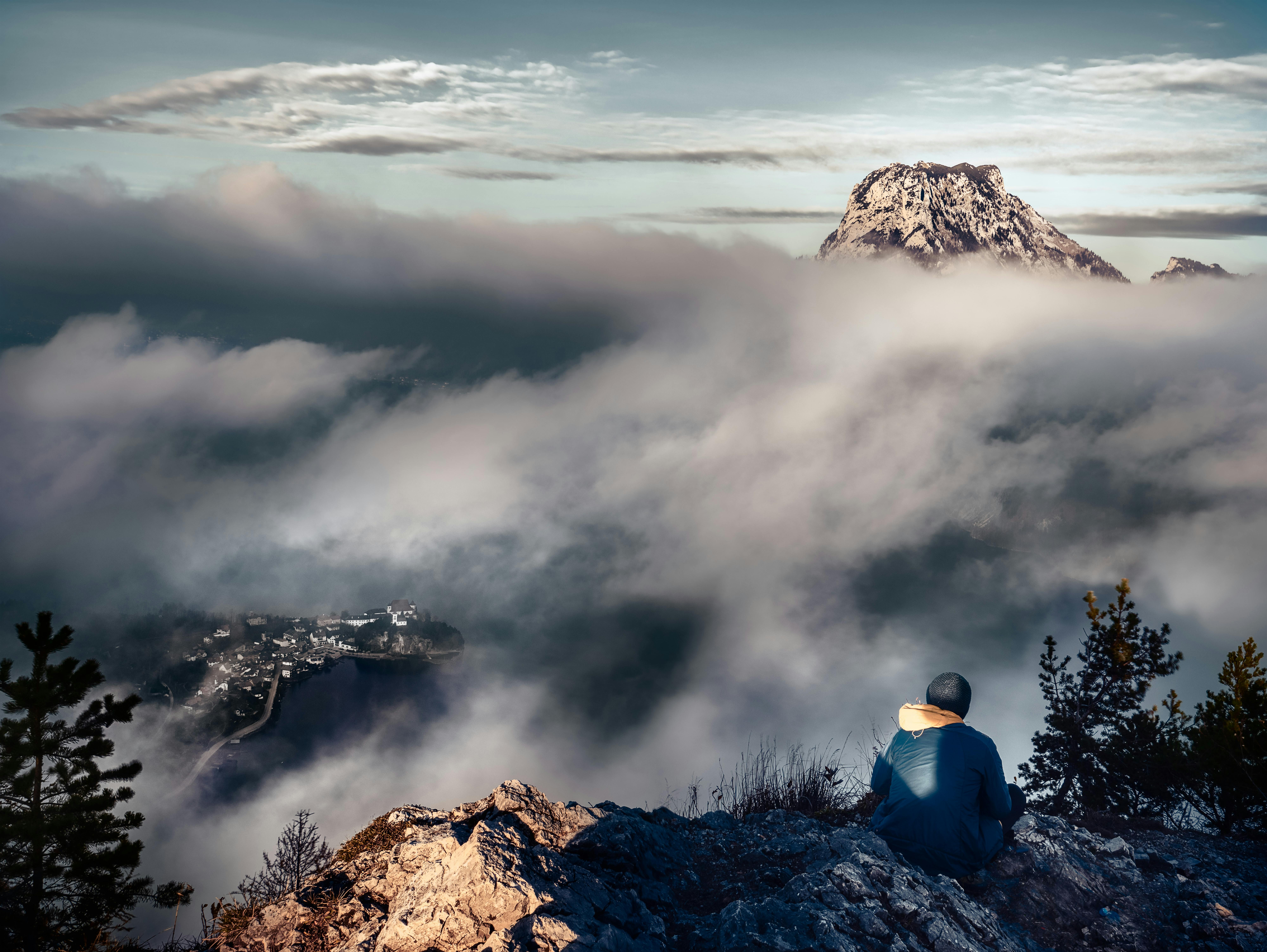 Vertiseit (Q1 Review): Look beyond volatile non-SaaS revenue — Photo by Simon Berger on Pexels