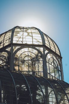 阳光透过玻璃温室圆顶，景色引人注目