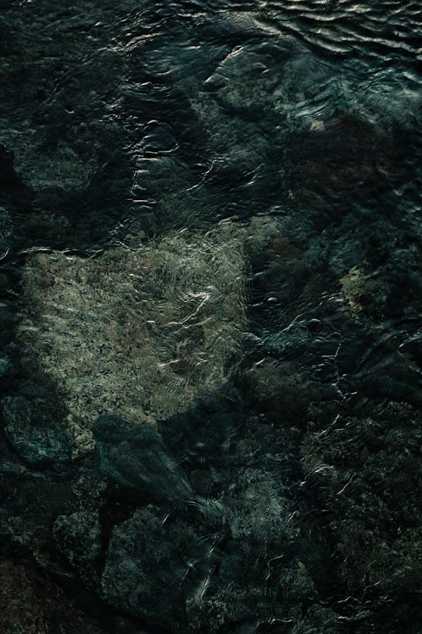 Jat Jatin dance troupe Bihar