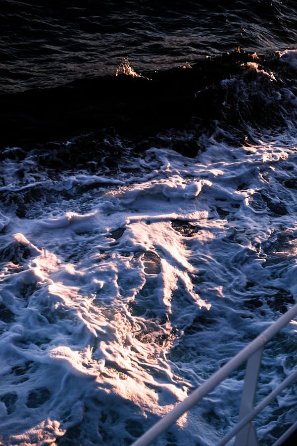 Sohar wedding dance Bihar