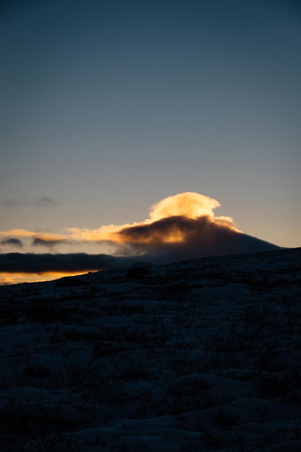 Karma tribal dance Bihar