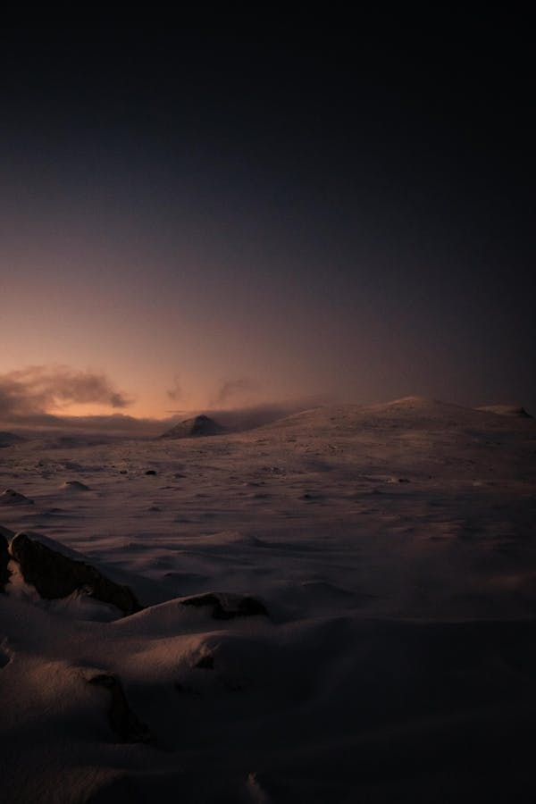 Village festival dance Bihar