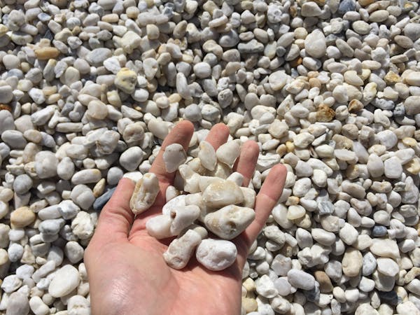 Temple festival dance Bihar