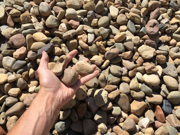 Wedding dance troupe Bihar