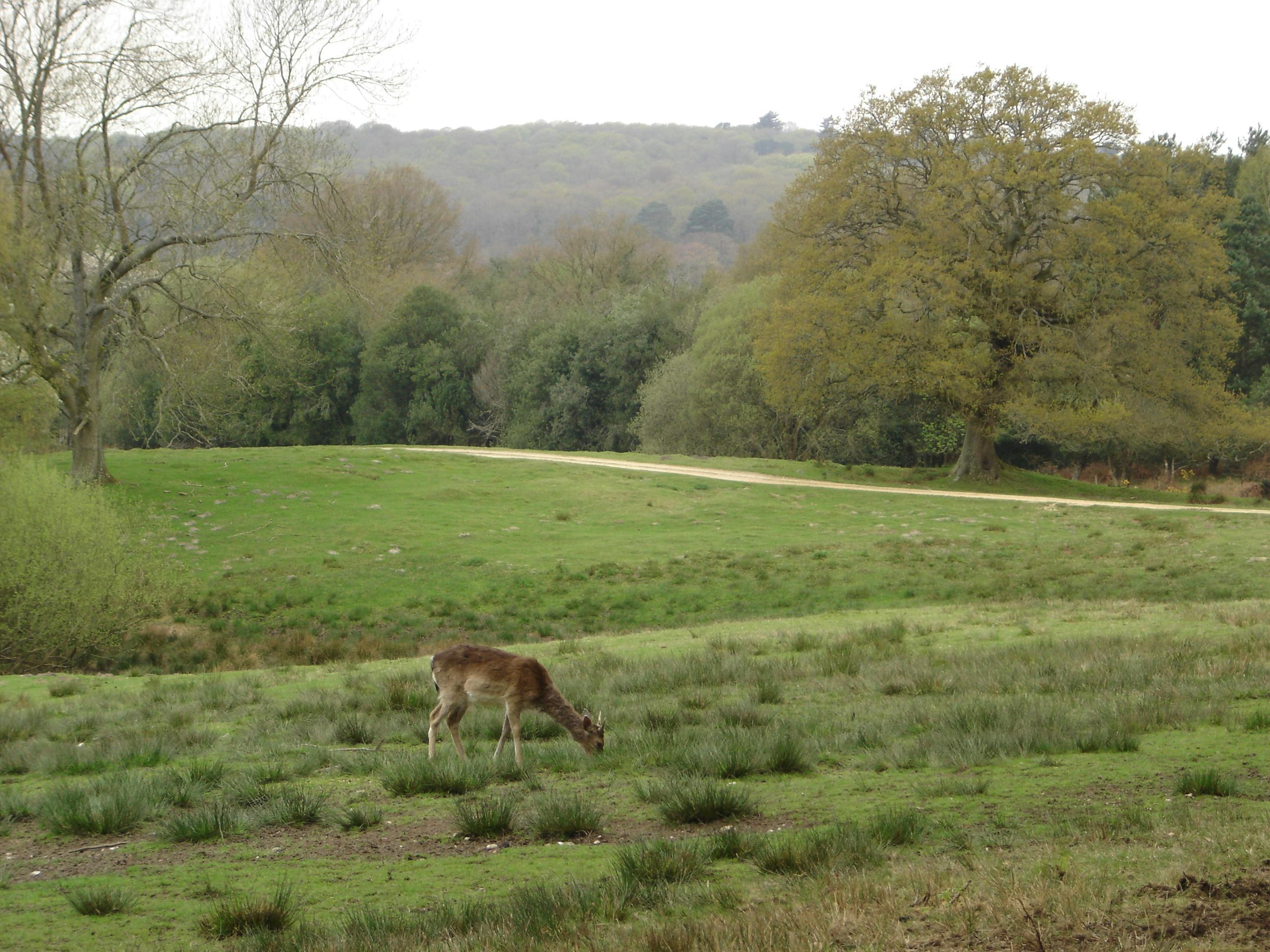 Male tennis player serving during an evening match with stadium lights