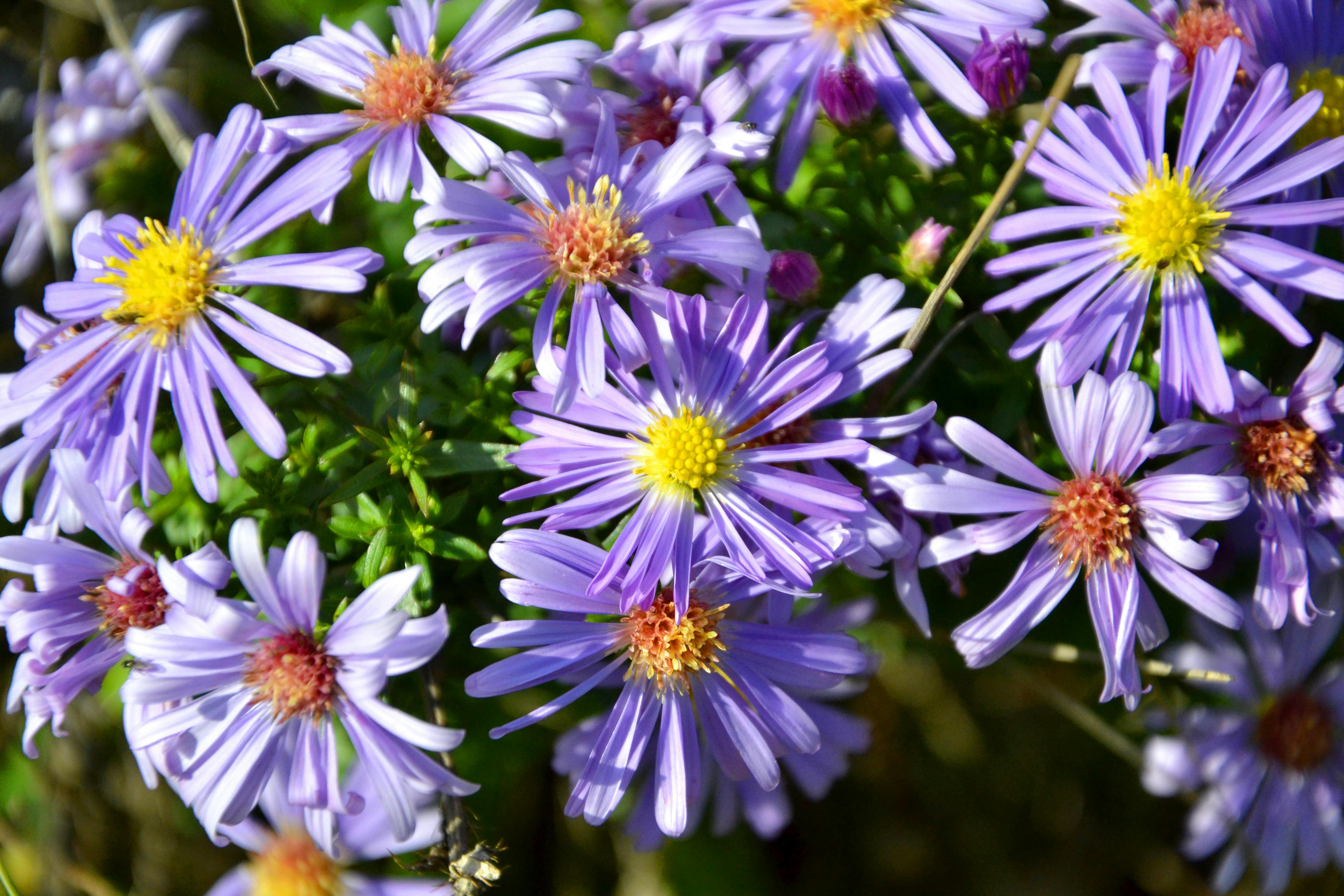 Overhead view of a tennis court during a singles match