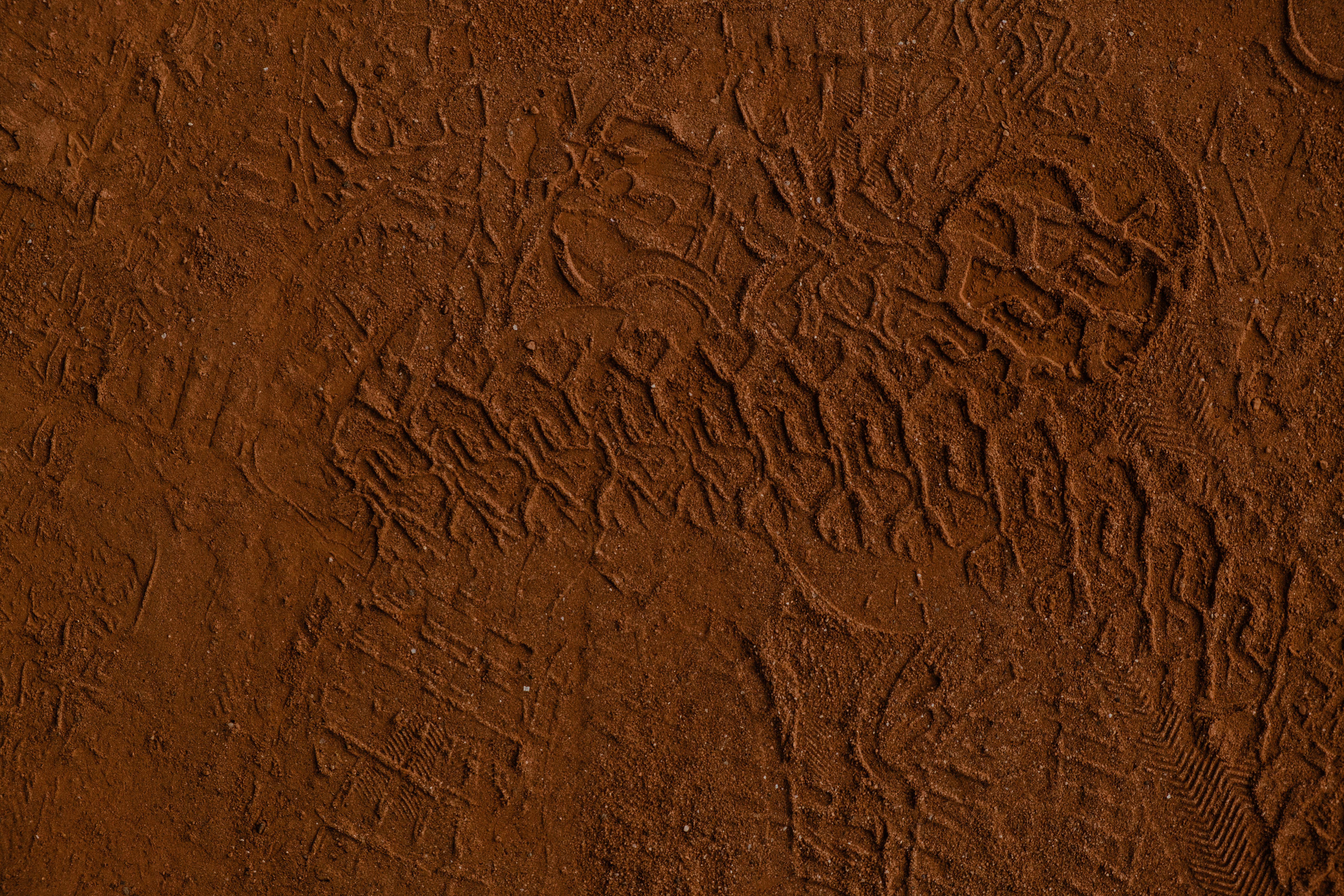 Best Patten Photos · 100 Free Download · Pexels Stock Photos