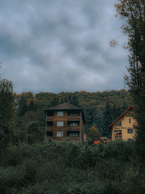 Suburban houses in green forest