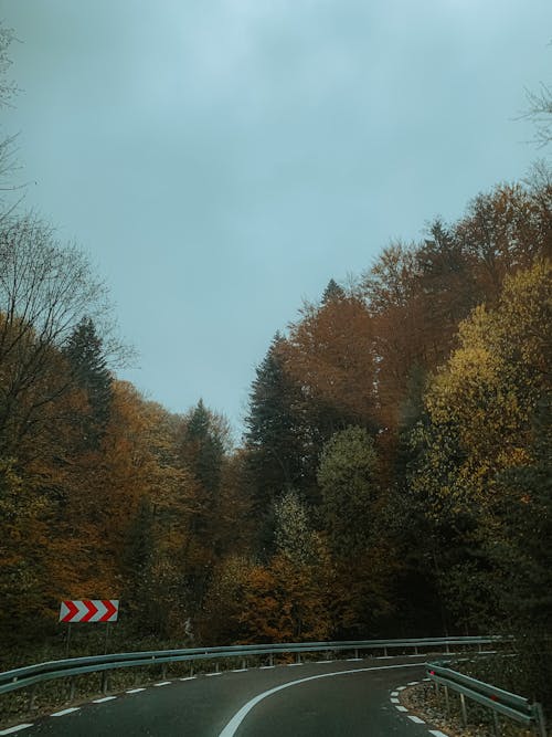 Scenic view of wavy asphalt roadway between overgrown trees under cloudy sky in fall