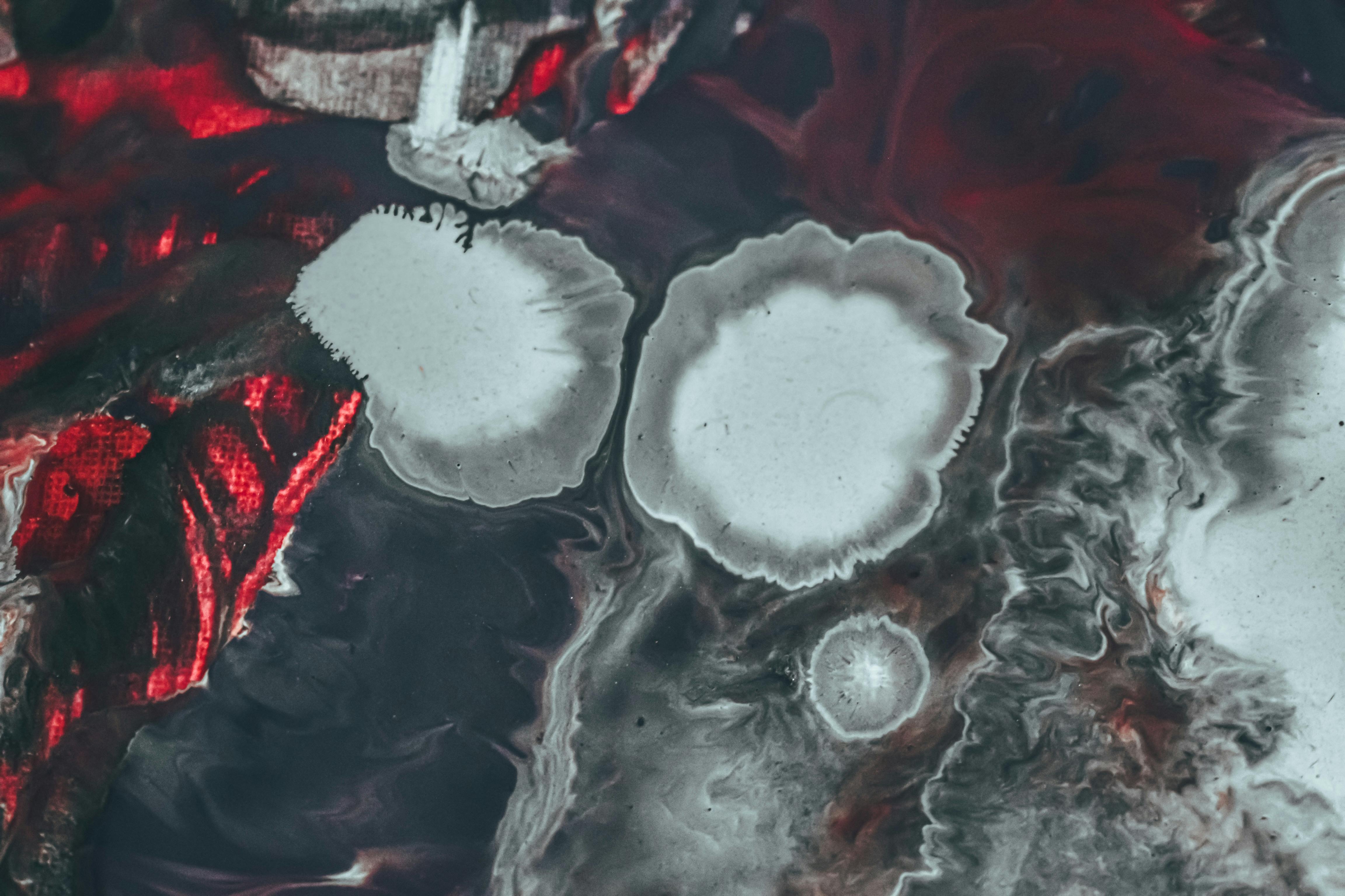 Closeup of creative painting on canvas with red white and black colors and abstract background