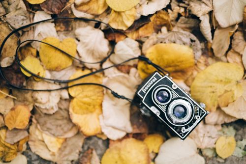 Free Classic vintage camera resting on a bed of golden autumn leaves, captured from above. Stock Photo
