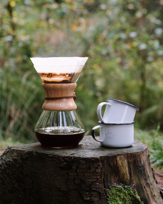 A Chemex coffee setup with white enamel cups on a tree stump in a natural outdoor setting.