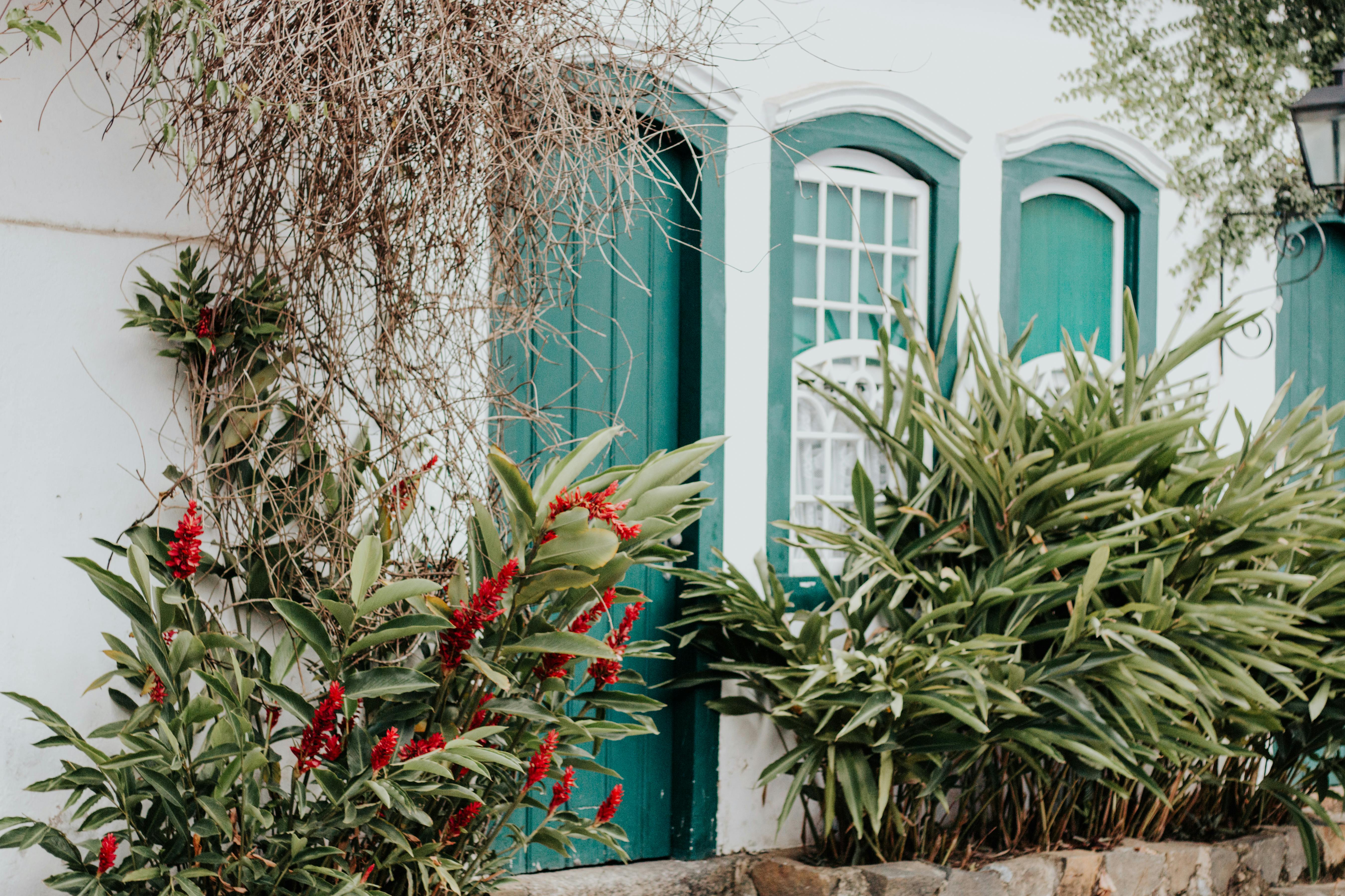 green wooden door