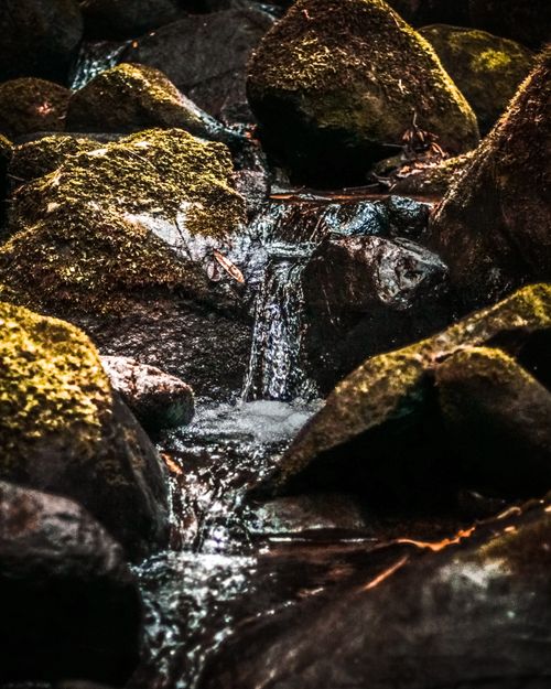 Free A detailed view of a flowing forest stream cascading over moss-covered rocks. Stock Photo