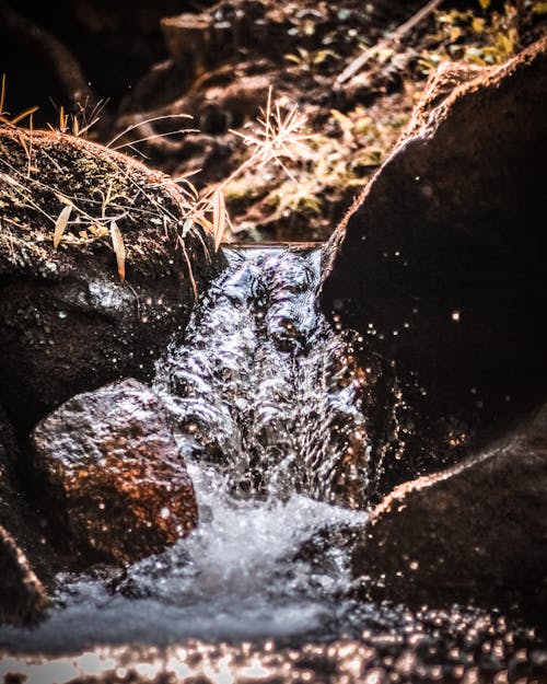 Close-Up Shot of Water Flowing Between Rocks 