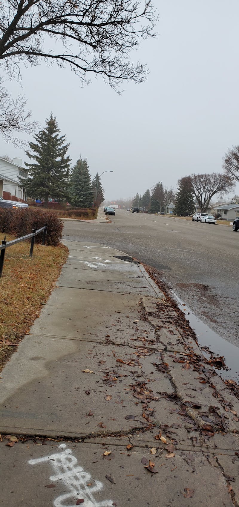 Modern automatic bread maker machine on kitchen counter with fresh baked bread