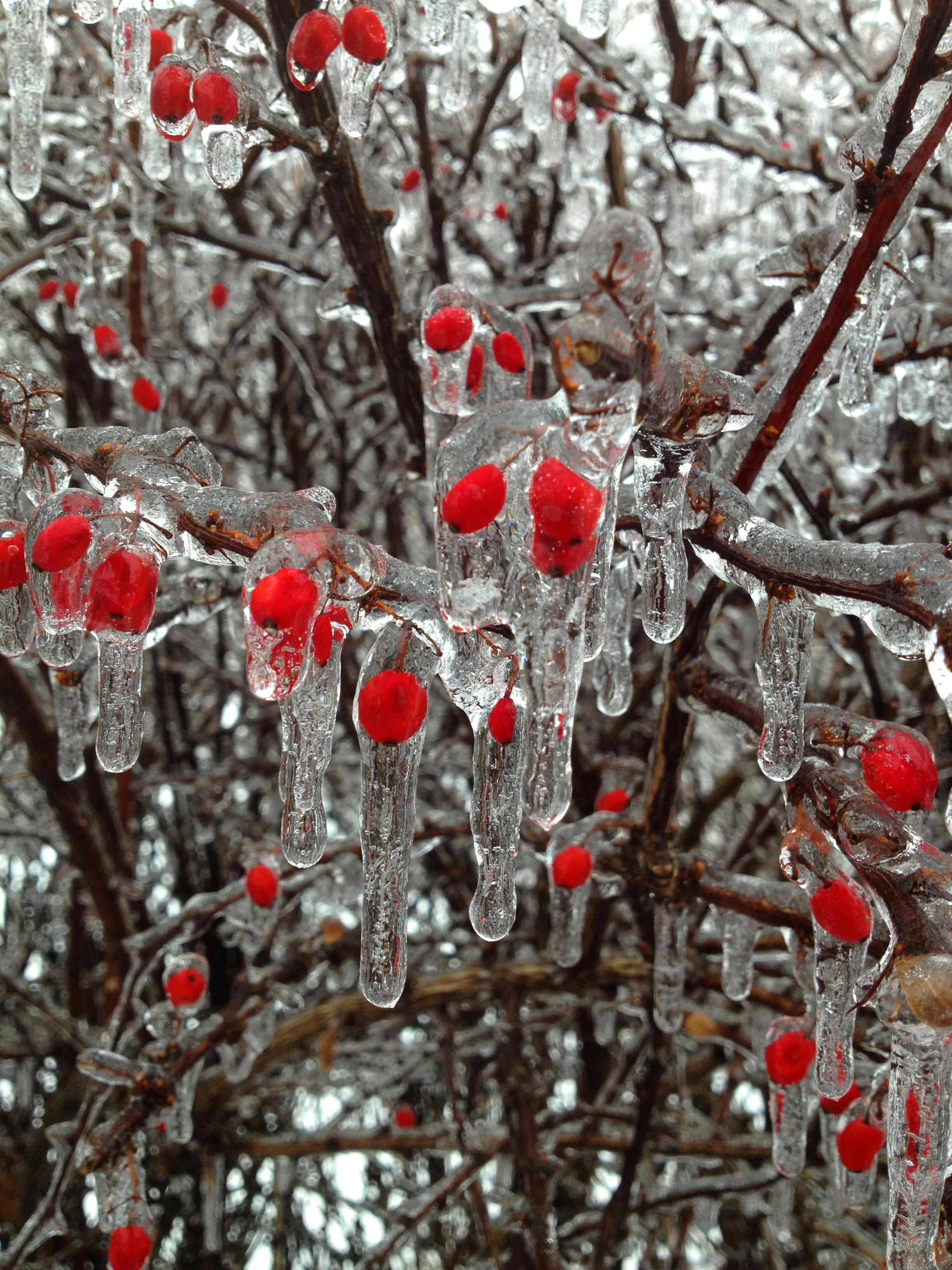 Winterende Winterende