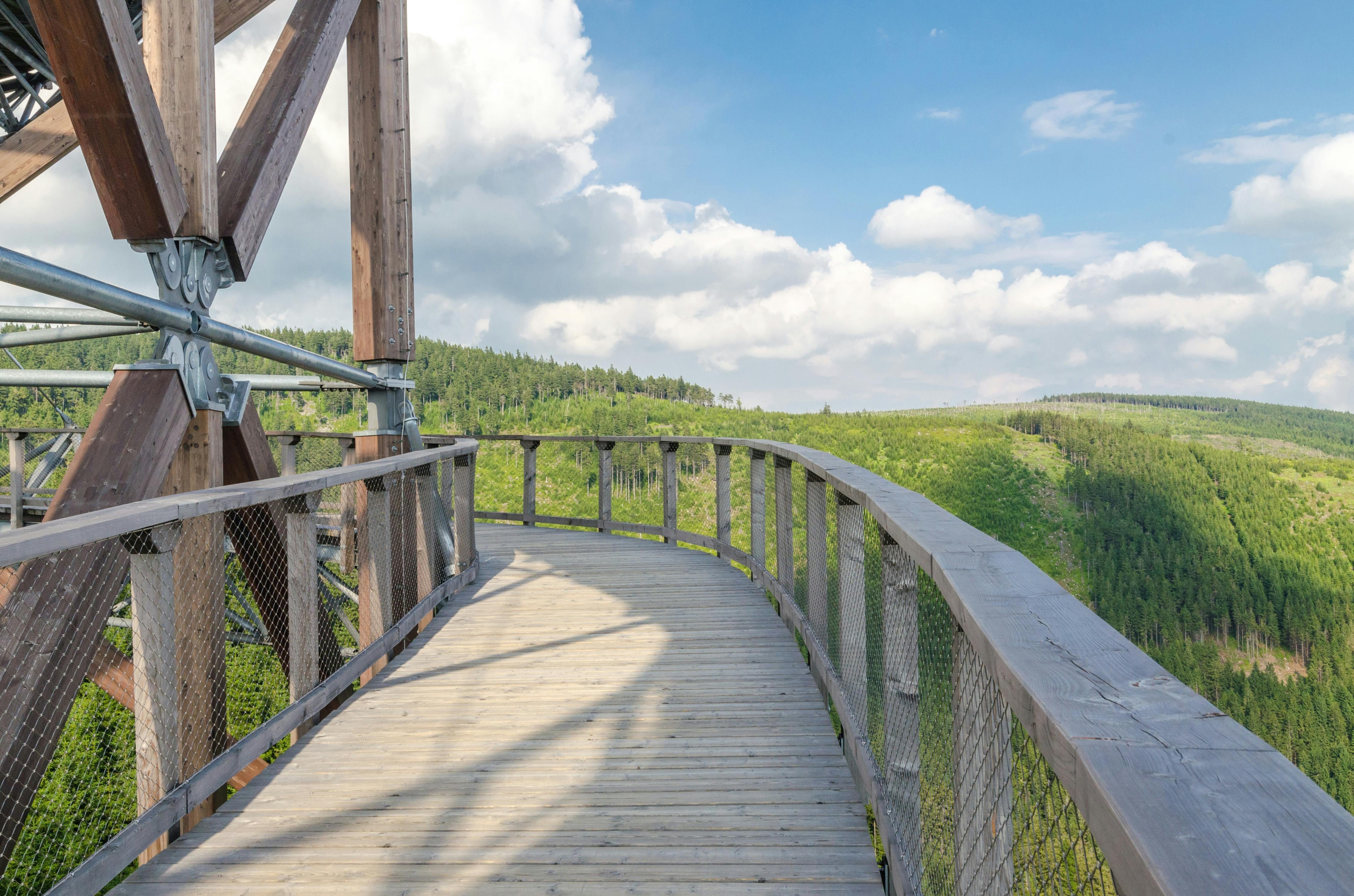 木制走道带有金属栏杆，可欣赏郁郁葱葱的森林和蓝天的壮丽景色