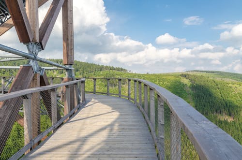 Brown Wooden Bridge Under Blue Sky