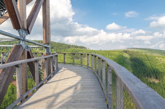 木制走道带有金属栏杆，可欣赏郁郁葱葱的森林和蓝天的壮丽景色