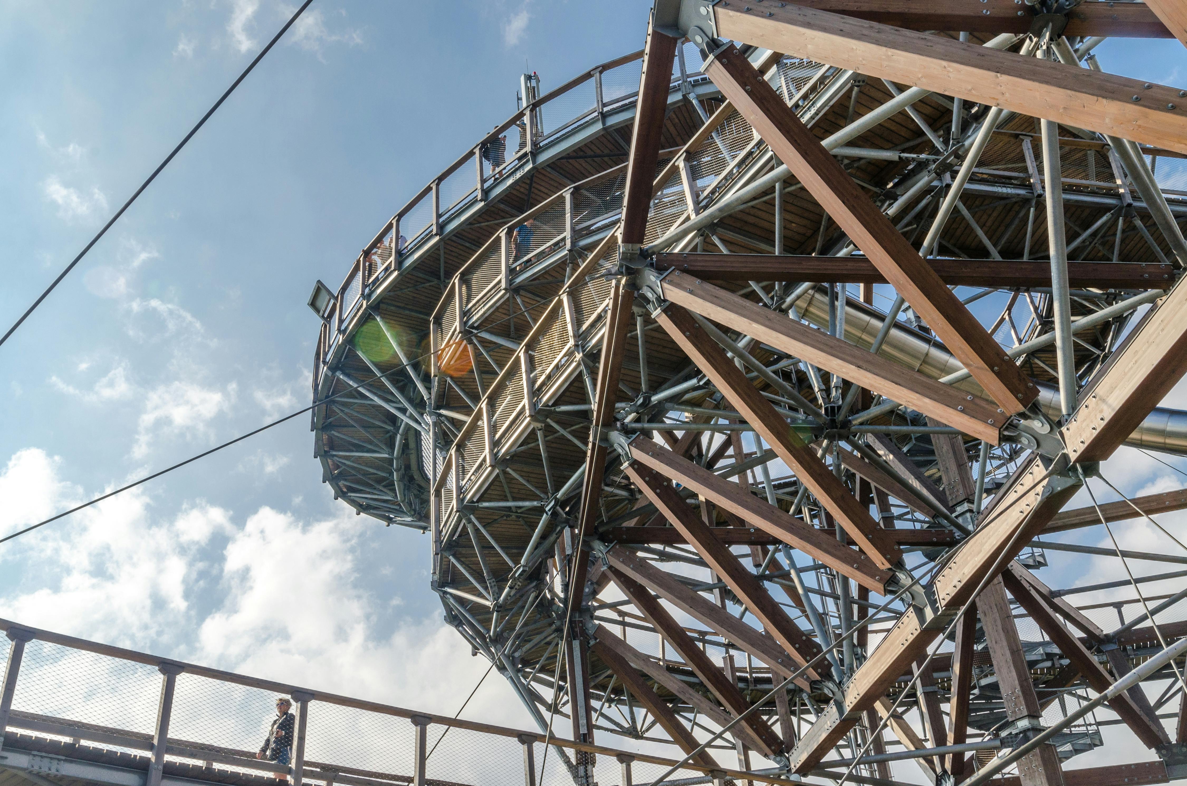 Người đang tìm kiếm vé máy bay trên máy tính vào ban đêm