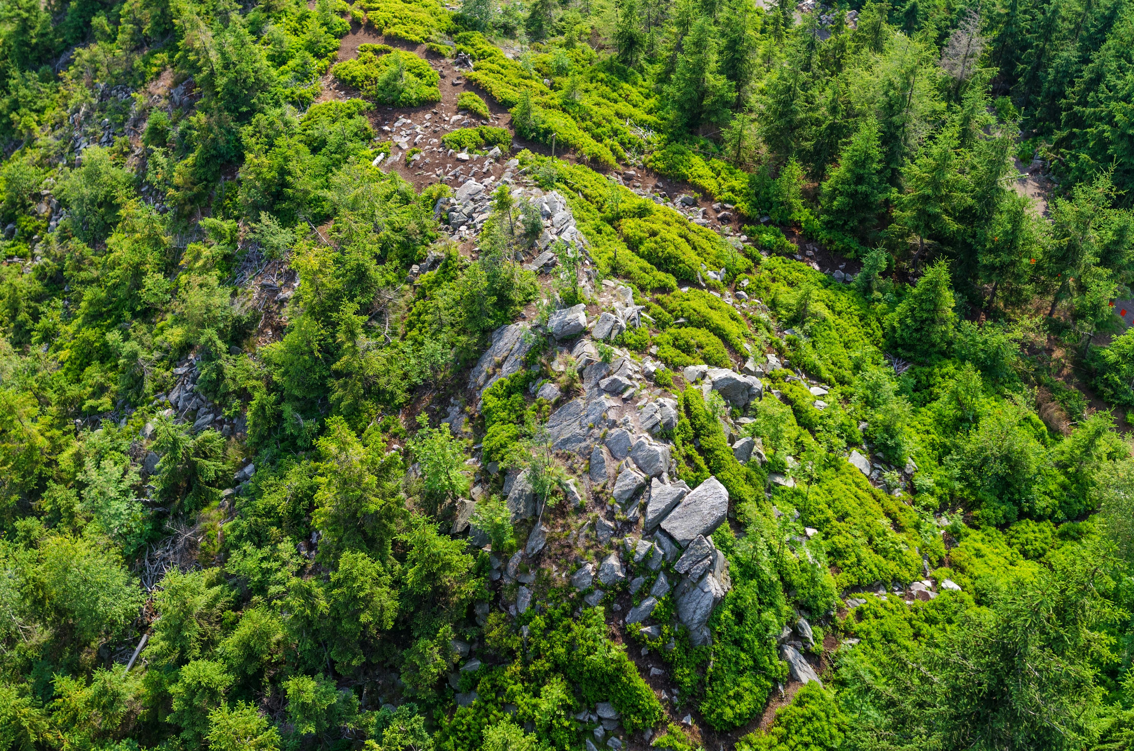 从山上俯瞰，郁郁葱葱的绿色森林中岩石地形格外突出