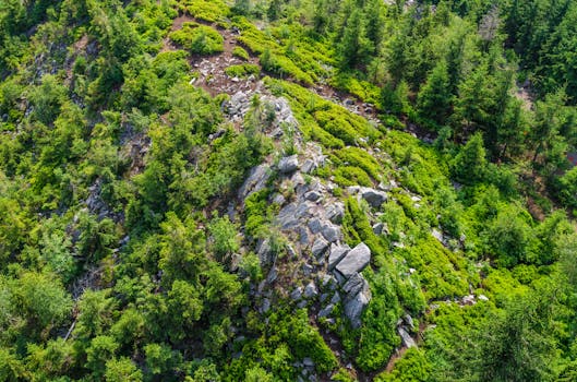 从山上俯瞰，郁郁葱葱的绿色森林中岩石地形格外突出