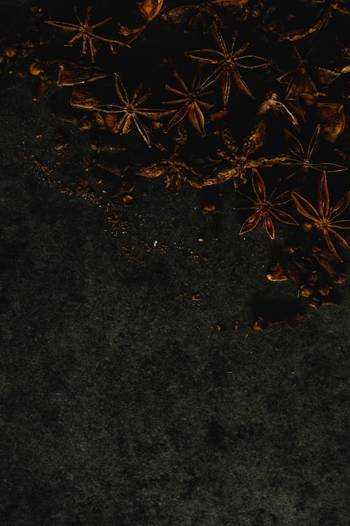бесплатная Коричневые листья на черном песке Стоковое фото