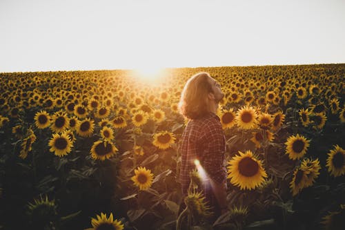 A Long-Haired Man Standing on a Sunflower Field