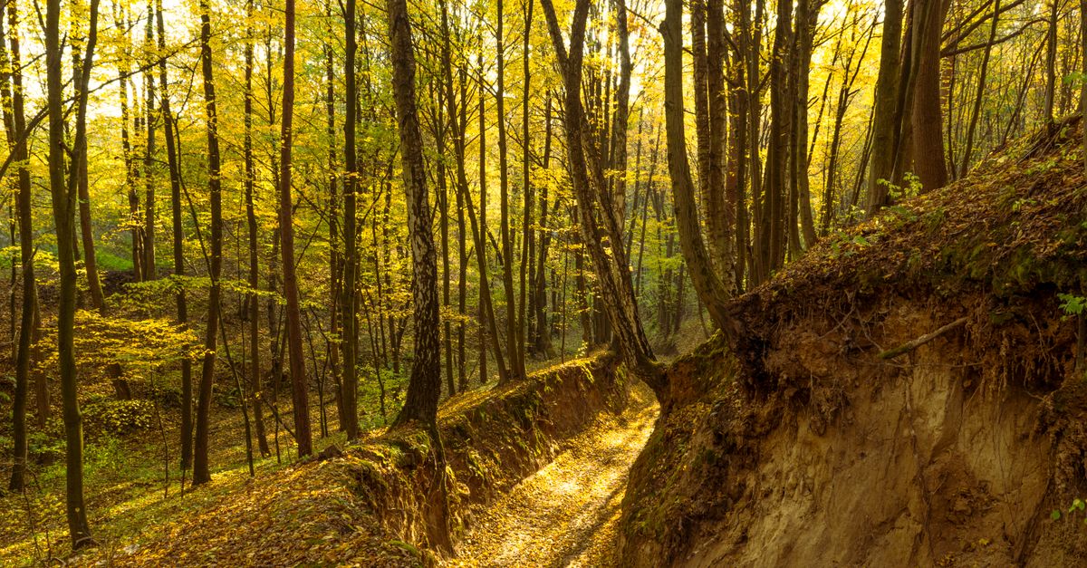 Découvrez les itinéraires insolites en pleine nature