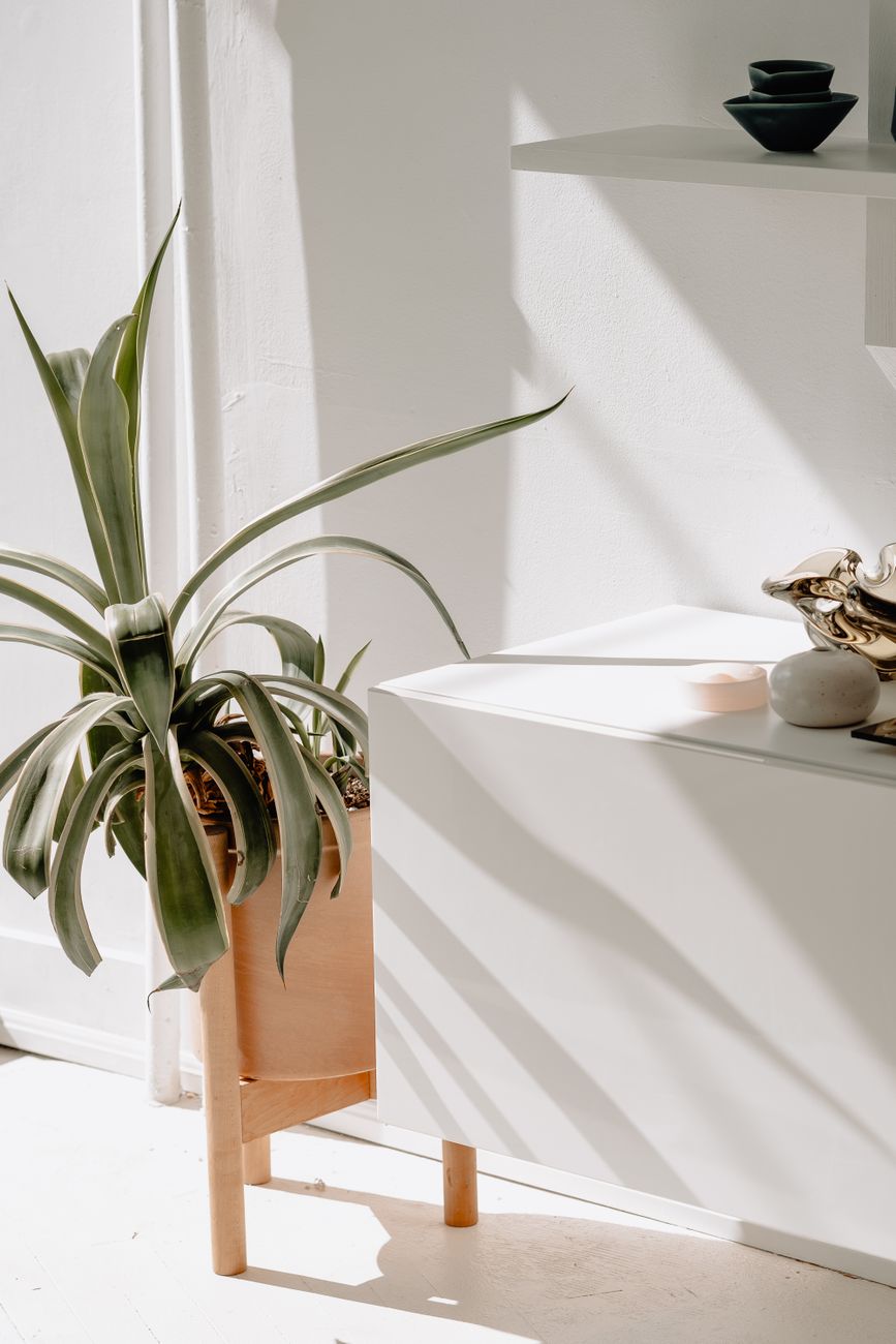 A modern Scandinavian room showcasing minimalist design with sunlight and a potted plant.. pexels, modern, scandinavian