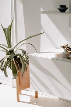 A modern Scandinavian room showcasing minimalist design with sunlight and a potted plant.. pexels, modern, scandinavian