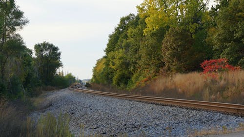 Gratis stockfoto met michigan, spoorlijn, spoorweglijnen