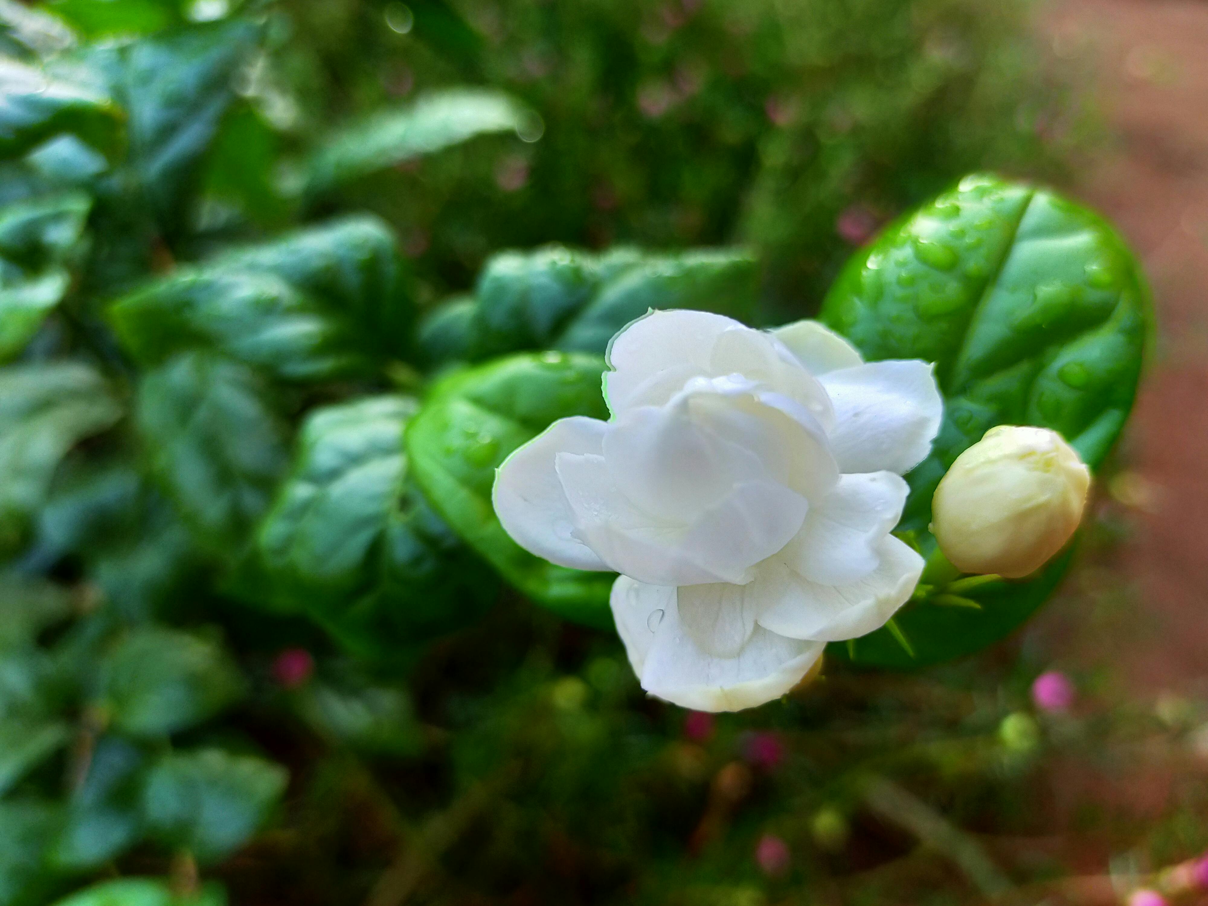 Shopping on Bahnhofstrasse