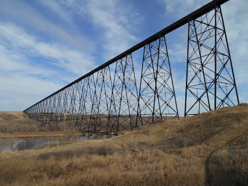 Foto d'estoc gratuïta de pont, pont d'alt nivell, pont de tren