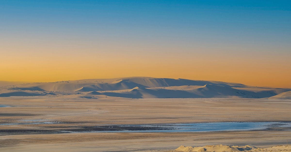 What does desolate mean in a dead woman's secret